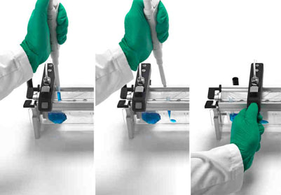 The Inlabtec Serial Diluter boosts Productivity of Food & Feed Testing