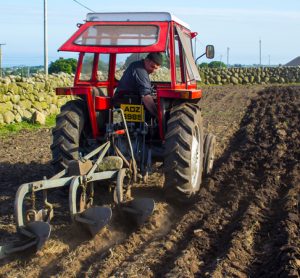 UK farms will receive new types of funding after Brexit