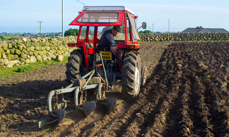 UK farms will receive new types of funding after Brexit