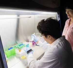 Researchers turn food waste into biodegradable plastic in breakthrough study