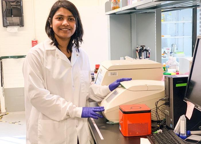 Nanoplastics may increase Salmonella virulence, study warns