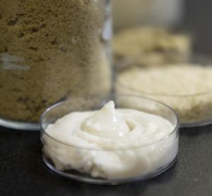 Rice proteins show promise for allergen-free plant-based cheese