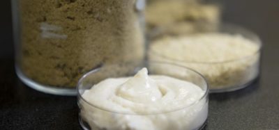 Rice proteins show promise for allergen-free plant-based cheese
