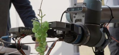 Queen Mary University of London develops handheld AI grape ripeness sensor for winemakers
