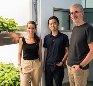 Vertical farming could be key to future protein supply and food security