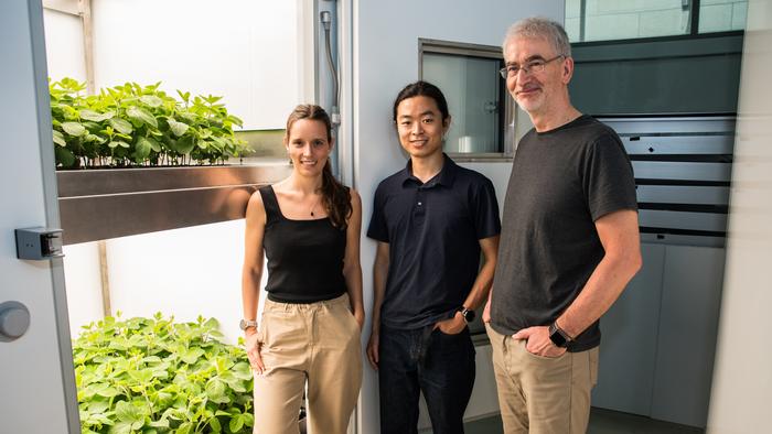 Vertical farming could be key to future protein supply and food security