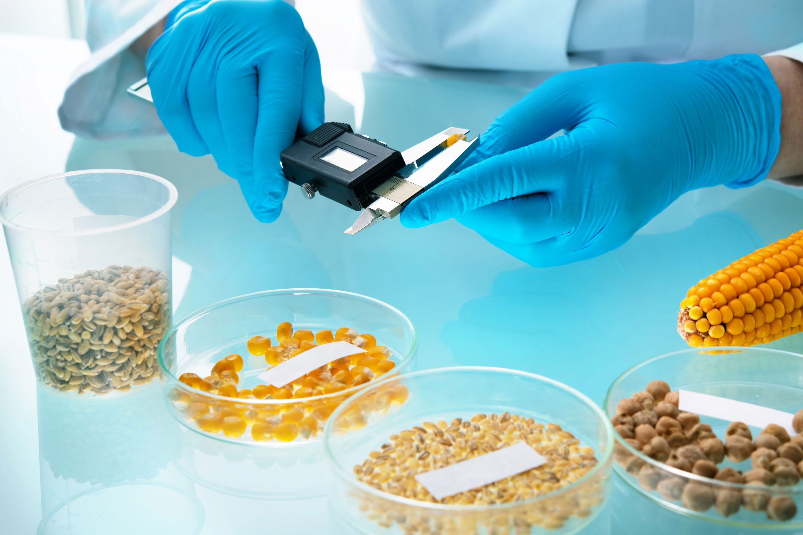 Lab testing cereal grains