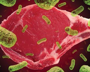 Microbiological criteria and testing