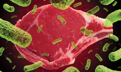 Microbiological criteria and testing