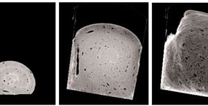 Figure 1: X-ray image of bread dough during proving and baking, showing dough at the start and end of proving and at the end of baking