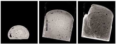 Figure 1: X-ray image of bread dough during proving and baking, showing dough at the start and end of proving and at the end of baking