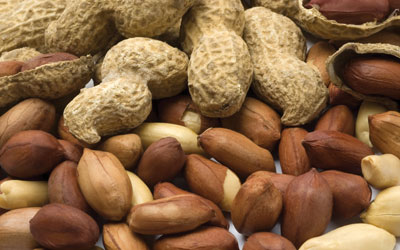 NIR hyperspectral imaging for detection of nut contamination