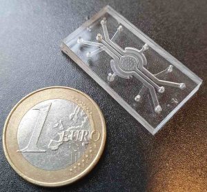 NIZO and the University of Twente unveil Gut–Brain Axis on Chip for animal-free ingredient testing, advancing research into nutrition and brain health.