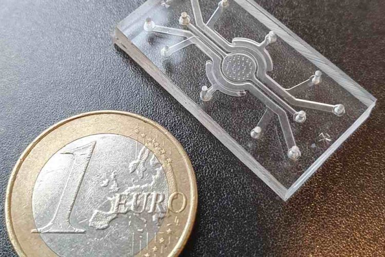 NIZO and the University of Twente unveil Gut–Brain Axis on Chip for animal-free ingredient testing, advancing research into nutrition and brain health.