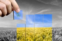 Net Zero and the hidden impact to food security
