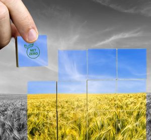 Net Zero and the hidden impact to food security