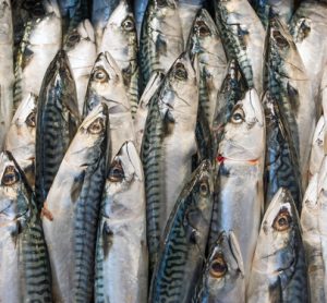 New safety test developed to detect histamine in fish