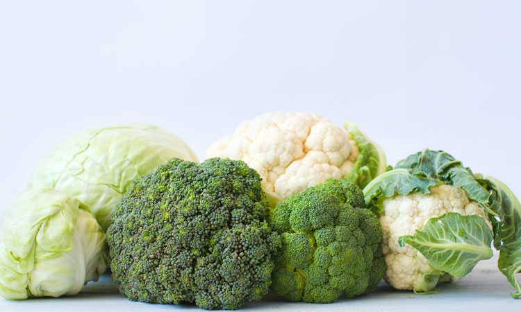 New study could lead to the development of healthier broccoli and cabbage