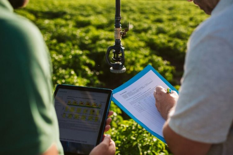 Two professionals reviewing documents in a field, discussing regenerative agriculture practices and farmer support programs.