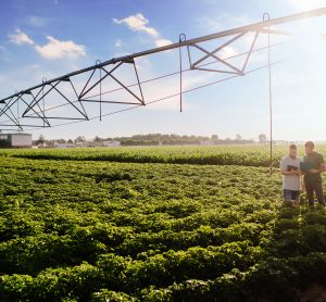 farmers using technology