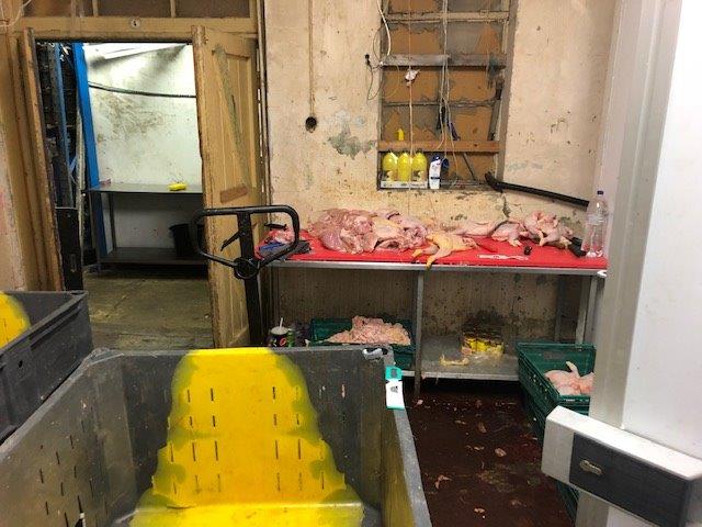 Image of the secret cutting room
