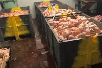 From tip-off to convictions: inside the battle against food crime