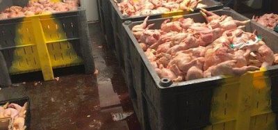 From tip-off to convictions: inside the battle against food crime