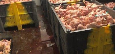 From tip-off to convictions: inside the battle against food crime