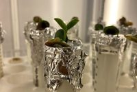 Revealing the potential of atmospheric cold plasma to deliver safer food