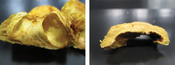 Porous expanded structure achieved by microwaving (left) and compact structure of food dehydrated without expansion (right)