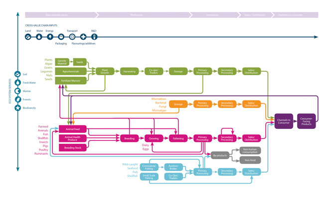 The global protein system