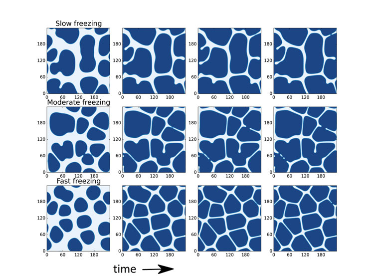 Figure 1: Snapshots of ice crystal growth in a sugar solution obtained via computer simulations for different freezing rates (0.01, 0.03 and 0.10 K/s from top to bottom) observed at different times (from left to right). Observe the coalescence of several ice crystals, especially at the low freezing rate (top)