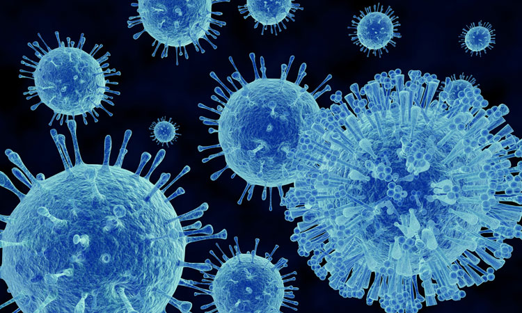 Virus image for PCR testing