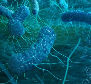 New DNA test could improve tracking of Salmonella outbreaks