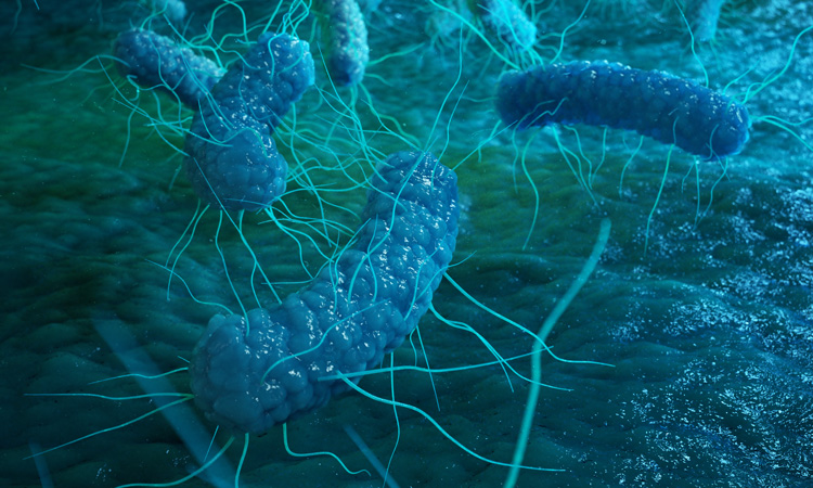 New DNA test could improve tracking of Salmonella outbreaks