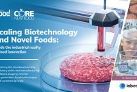 Scaling Biotechnology and Novel Foods report