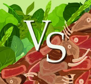 meat vs vegan