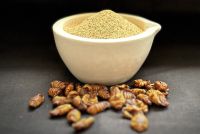 Silkworm Pupae as a sustainable, nutritious, and scalable alternative protein source for pet food
