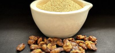 Silkworm Pupae as a sustainable, nutritious, and scalable alternative protein source for pet food