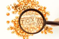 Mycotoxin Suman FI