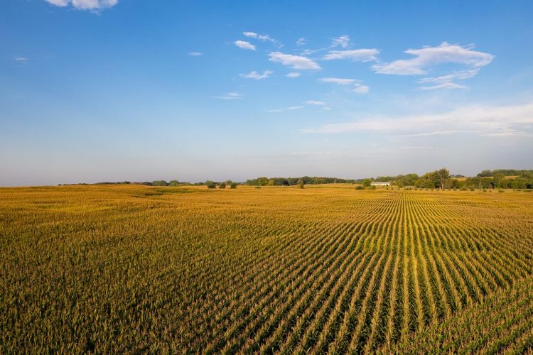 Global food system resilience gaps exposed in new Economist Impact index