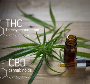 Testing positive for THC from CBD