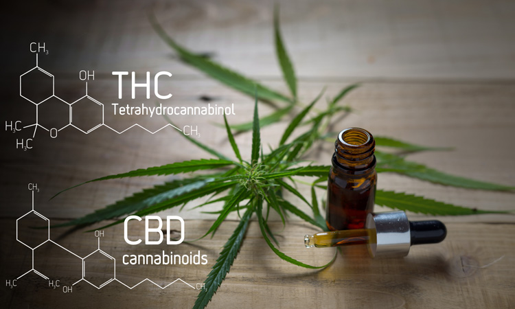 Testing positive for THC from CBD