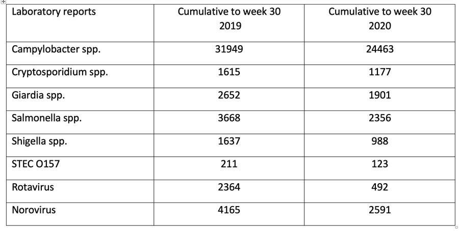 Table 2 cleaning article