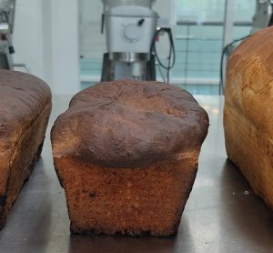 Researchers create protein-rich grasshopper bread to tackle future food insecurity