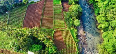 IUCN and CGIAR unite to accelerate nature-positive global food systems transformation