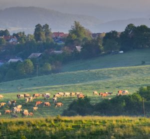 UK-agriculture-farming-EU-Brexit