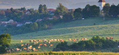 UK-agriculture-farming-EU-Brexit