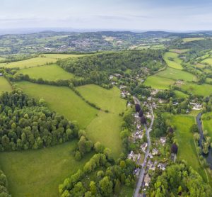 UK agroforestry