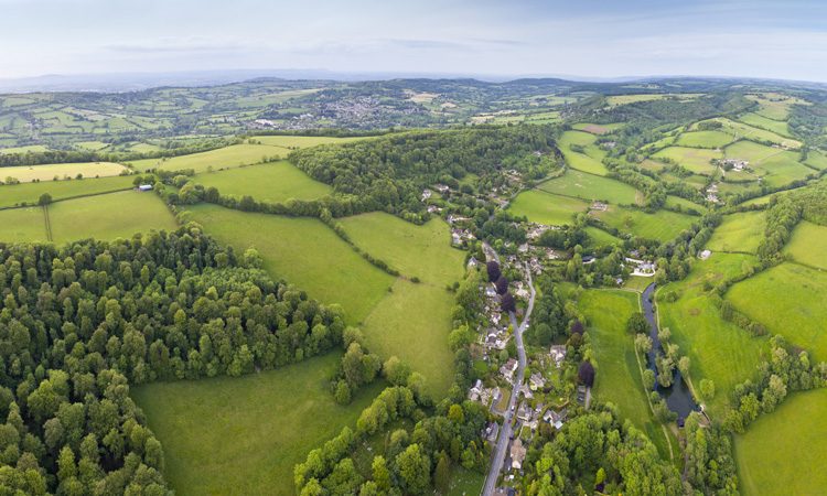 UK agroforestry